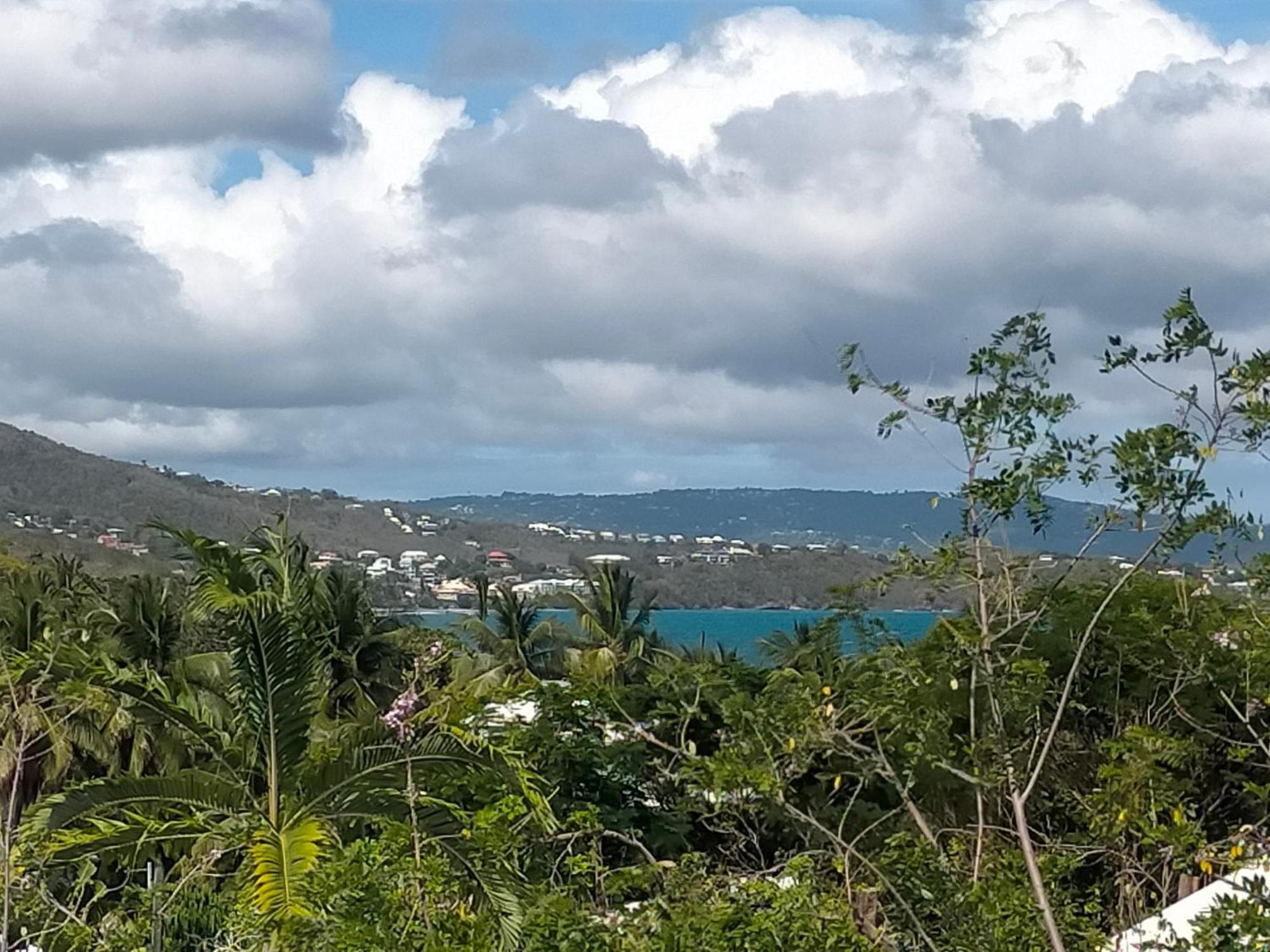 Appartement Rosbambou Les Pieds Dans L Eau Le Diamant Buitenkant foto